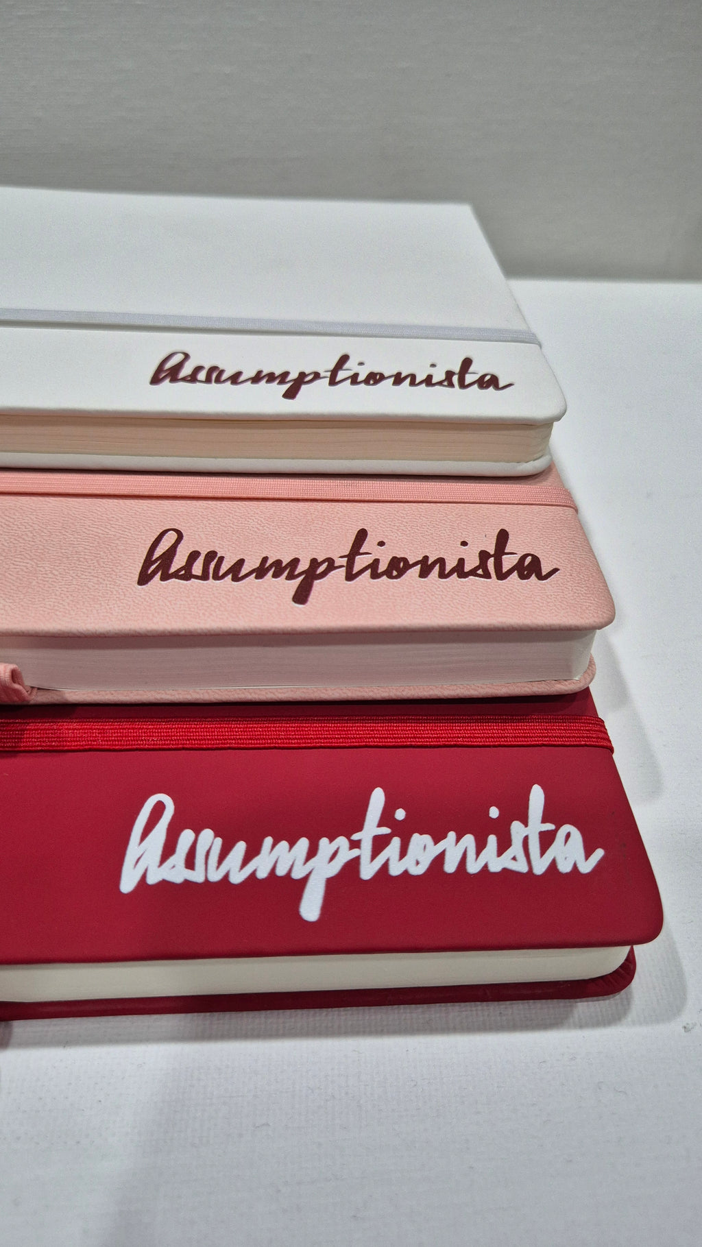 Assumptionista Notebook