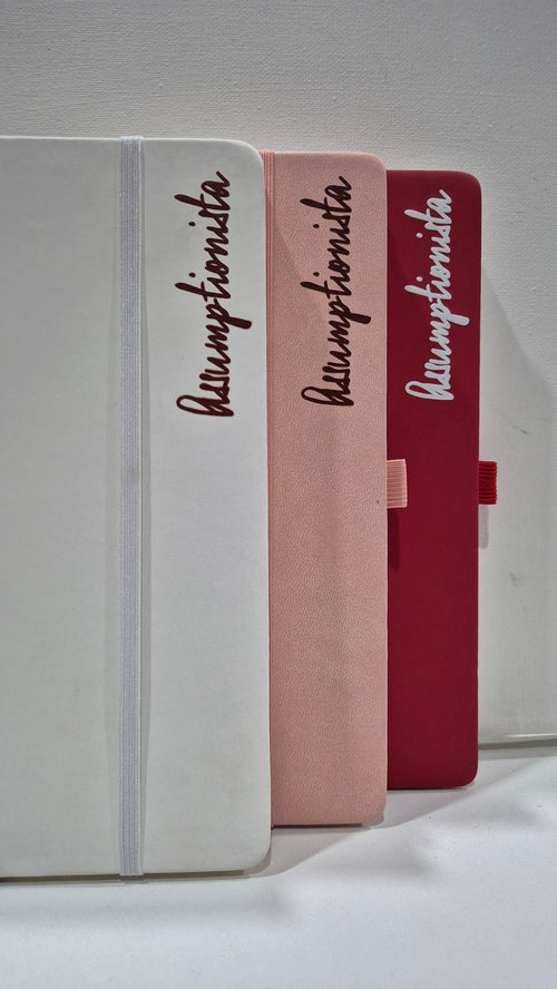 Assumptionista Notebook