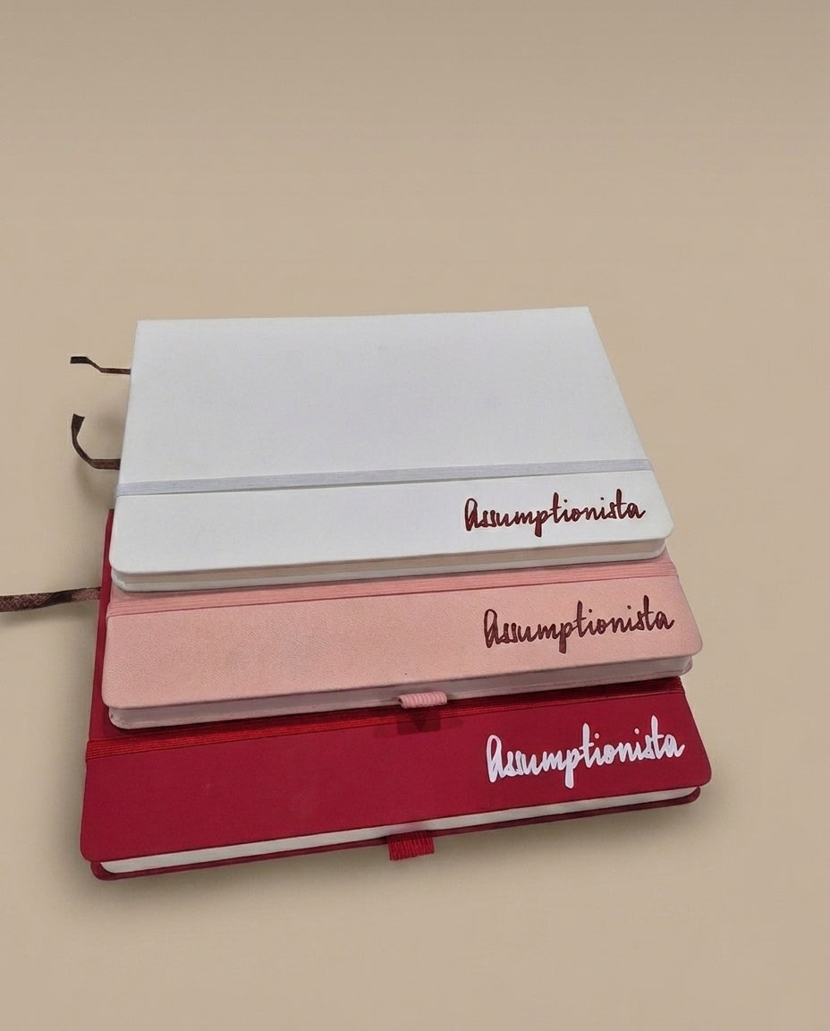 Assumptionista Notebook
